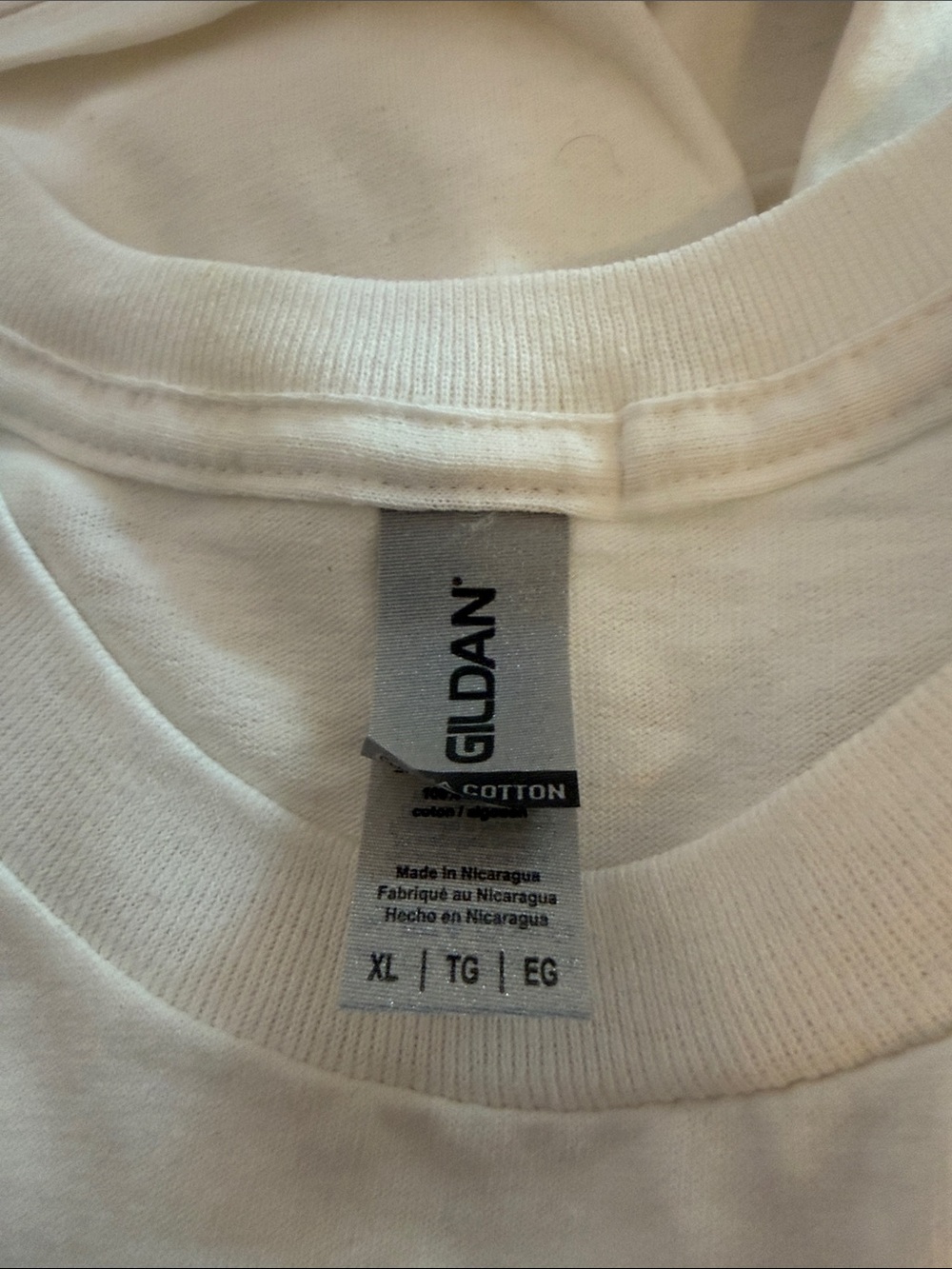 10 Gildan Men's Crewneck T-Shirts in white